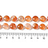 Natural Flower Agate Bead Strands G-NH0013-A01-01-5