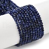 Natural Sodalite Beads Strands G-L622-C04-3mm-2