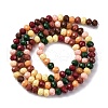 Handmade Lampwork Beads Strands LAMP-R020-03B-2