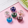 Handmade Lampwork European Style Beads LPDL-N1181-M-6