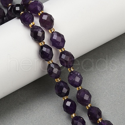 Natural Amethyst Beads Strands G-N342-149F-1