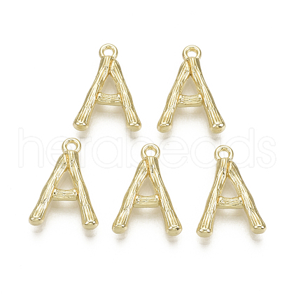 Alloy Pendants PALLOY-S137-001A-NR-1