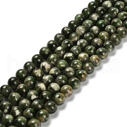 Natural Diopside Beads Strands G-R006-A01-02-1