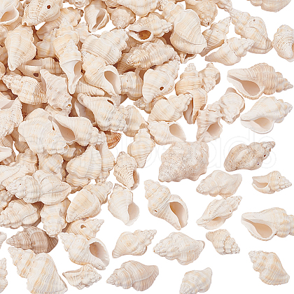 Natural Spiral Shell Beads BSHE-PH0001-03-1