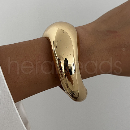 Alloy Hinged Bangles for Women FS-WGCBF0C-03-1