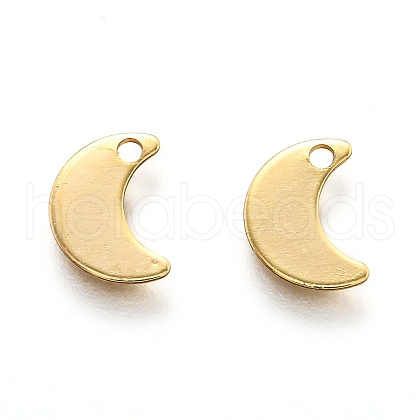 201 Stainless Steel Charms STAS-B001-17G-1