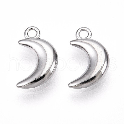 304 Stainless Steel Charms STAS-N109-138P-1