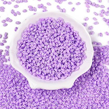 Opaque Colours Luster Glass Seed Beads SEED-T006-02D-1