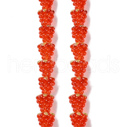 Handmade Lampwork Beads Strands LAMP-Q036-05B-1