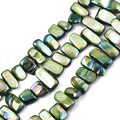 Natural Freshwater Shell Beads Strands X-SHEL-N026-123E-1