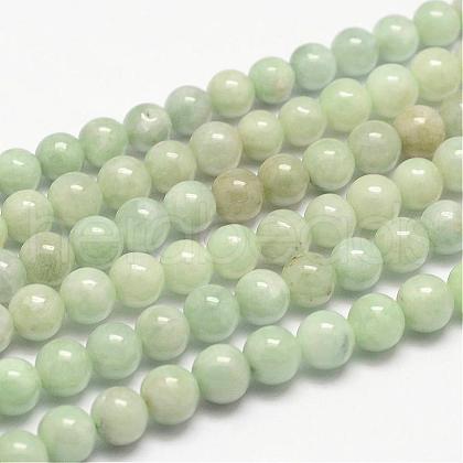 Natural Jadeite Bead Strands G-P204-05-6mm-1