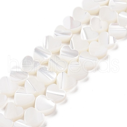 Natural Trochus Shell Beads Strands SSHEL-H070-06A-1