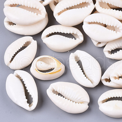 Natural Cowrie Shell Beads SSHEL-N034-34-1