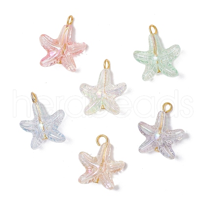 Transparent Acrylic Pendants PALLOY-JF03994-02-1