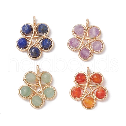 4Pcs 4 Styles Natural Stone Bead Pendants PALLOY-TA00247-1