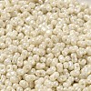 Glass Seed Beads SEED-K009-02A-08-3