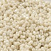 Glass Seed Beads SEED-K009-02A-08-3