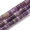 Natural Amethyst Beads Strands G-Z006-C43-2