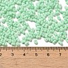 Glass Frosted Seed Beads SEED-K009-05B-05-4