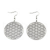 Tarnish Resistant 201 Stainless Steel Dangle Earrings STAS-S105-JN625-1-1