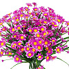 Plastic Artificial Daisy Flowers Bundles PW22052817644-1