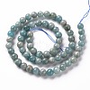 Natural Amazonite Beads Strands G-S333-6mm-005-2