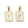 Ion Plating(IP) 304 Stainless Steel Pave Shell Pendants STAS-G327-01G-P-1