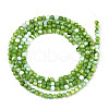 Dyed Natural Trochid Shell/Trochus Shell Beads Strands SSHEL-T017-13C-2