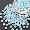 6/0 Glass Seed Beads SEED-T005-14-B19-4