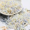 Glass Seed Beads SEED-K009-02B-21-1