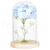 Glass Dome Cover DJEW-WH0043-46-7