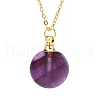 Natural Amethyst Flat Round Perfume Bottle Pendant Necklaces PW-WGD45C6-01-1