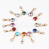 303 Stainless Steel Rhinestone Pendant Decoration HJEW-PH01409-02-1