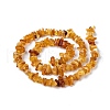 Natural Amber Chip Beads Strands X-G-E271-81-3