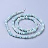 Natural Amazonite Beads Strands G-F638-09-2