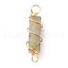 Natural Labradorite Connector Charms PALLOY-JF01580-01-2