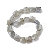 Natural Labradorite Beads Strands G-K359-B17-01-3