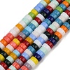 Handmade Lampwork Beads Strands LAMP-S070-10-1