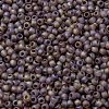 TOHO Round Seed Beads X-SEED-TR11-0166BF-2