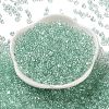 Glass Seed Beads SEED-L011-05B-14-2