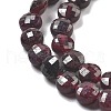 Natural Garnet Beads Strands G-C179-A25-01-4
