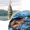 SUPERFINDINGS 56Pcs 4 Style Iron Fishing Lures IFIN-FH0001-64-6