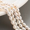 Natural Cultured Freshwater Pearl Beads Strands PEAR-P062-16B-1