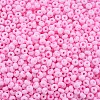 6/0 Glass Seed Beads SEED-T005-14-B12-3