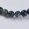 Natural Indian Agate Beads Strands G-G515-10mm-05-3
