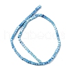 Natural Howlite Beads Strands G-C135-E03-01-3