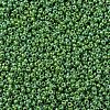 MIYUKI Round Rocailles Beads SEED-G007-RR0480-3