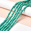 Dyed & Heated Natural Magnesite Beads Strands G-G924-01A-02-2