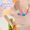SOFPLATE 300G 2 Styles Plastic Beads FIND-SP0002-62-5