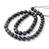 Natural Black Stone Beads Strands G-G542-14mm-04-4